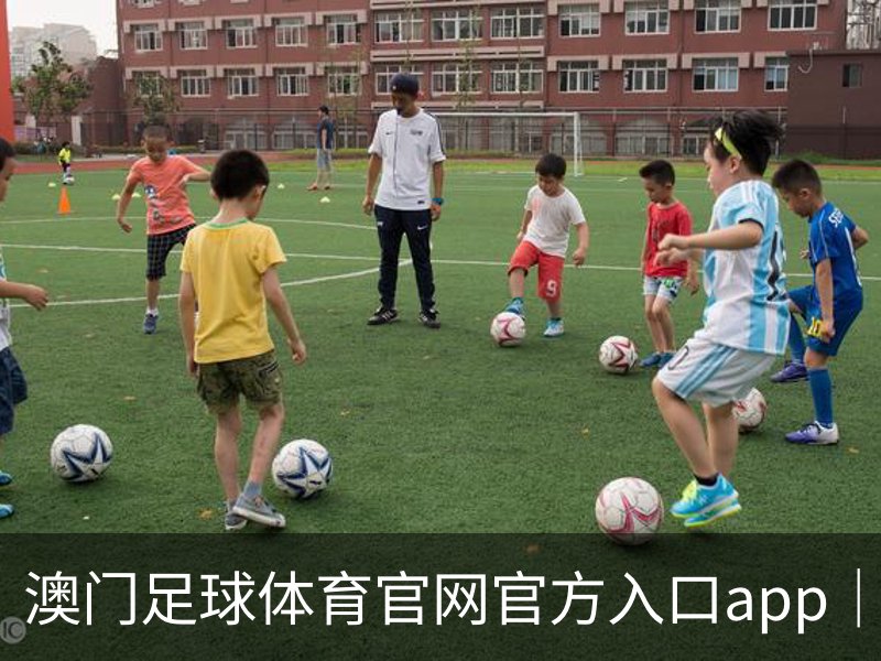 澳门足球体育官网官方入口app｜体育培训
